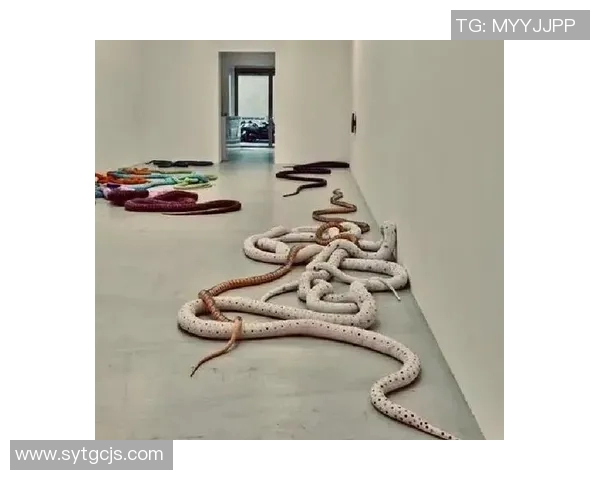 加莱诺的艺术世界探索：从传统到现代的跨越与融合之旅