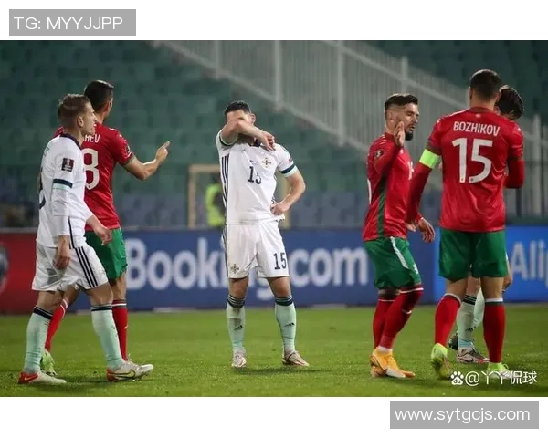 爱尔兰与保加利亚足球赛精彩比分结果分析与回顾