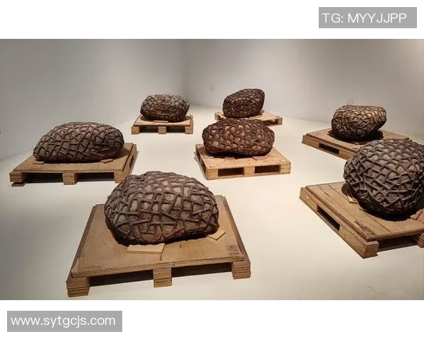 邹雨宸的艺术之路：从初学者到备受瞩目的当代艺术家探索与成长的故事