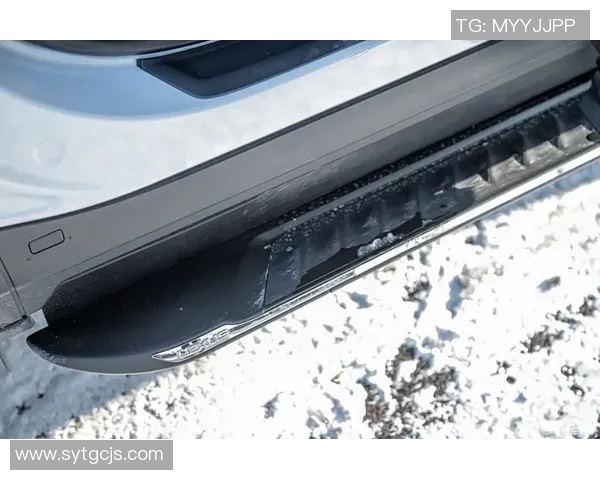 霍伊伦的传奇人生与科技创新之路探秘