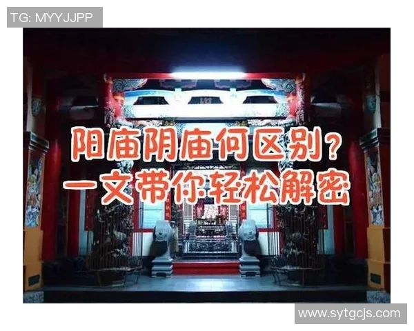 代怀博：探索新兴科技与传统文化的交汇点与未来发展潜力